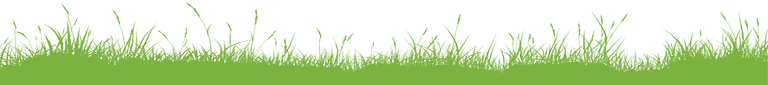 grass