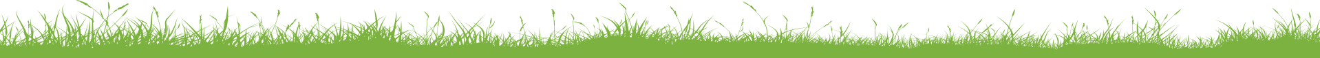 grass
